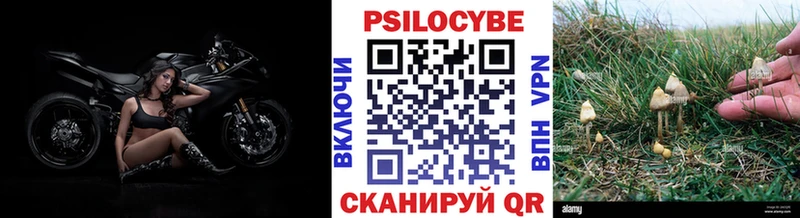 дарк нет какой сайт  Владимир  Псилоцибиновые грибы Psilocybine cubensis 